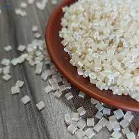 Bioplastic From Tapioca Starch