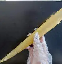 Pangasius Fish Maw