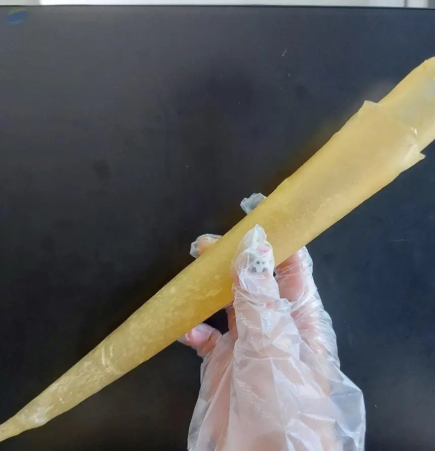 Pangasius Fish Maw