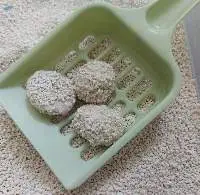 Cassava Cat Litter Fushable In The Toilet