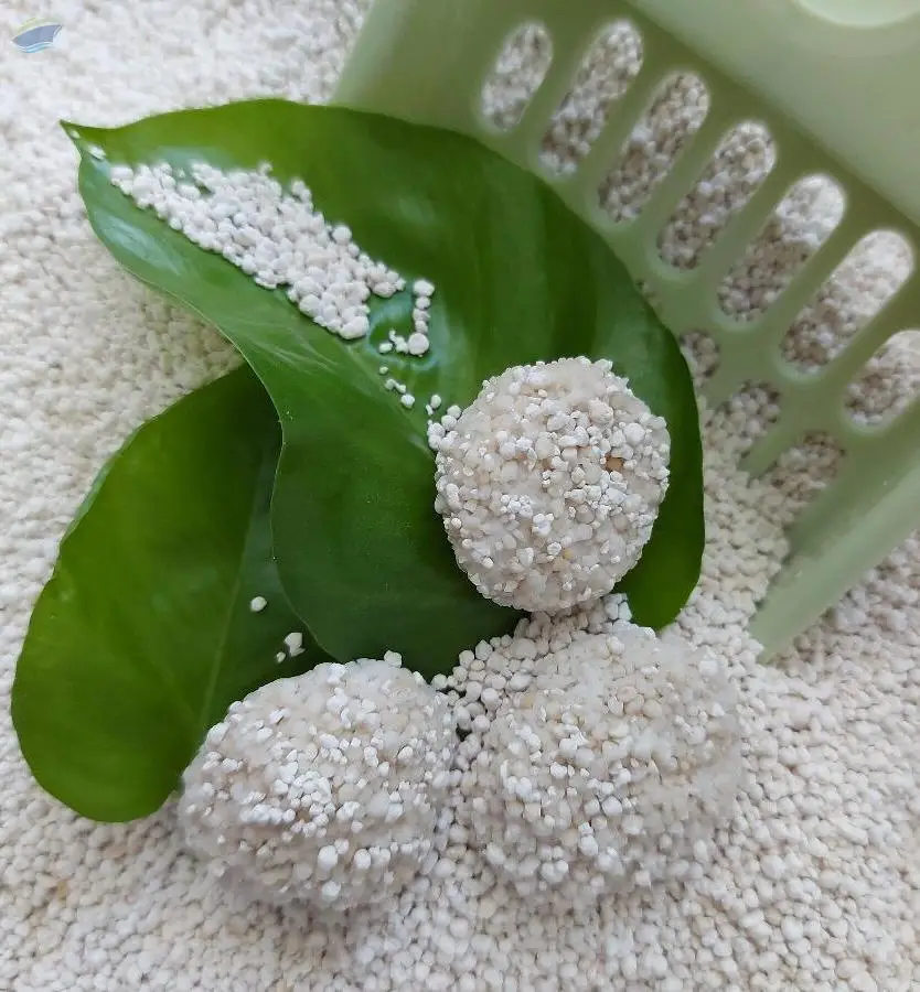 Cassava Cat Litter 100% From Cassava Starch