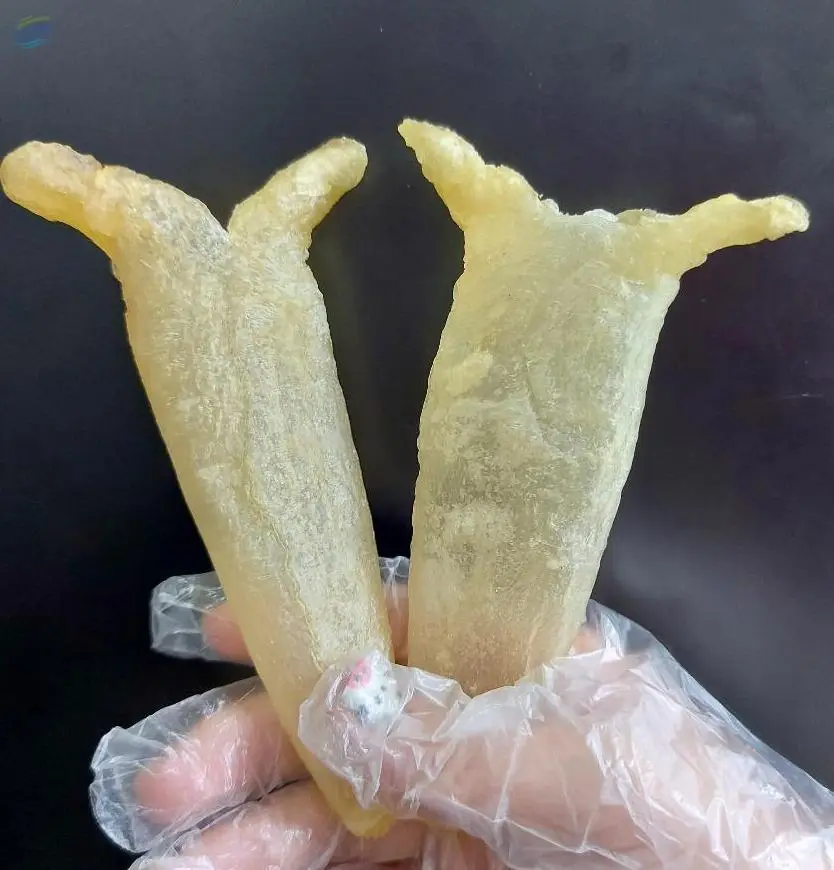 Pangasius Dried Fish Maw