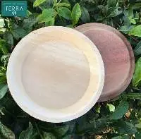 Round Food Plate Areca Leaf  20