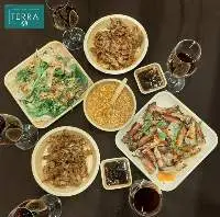 Square Food Plate 23