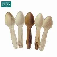 Spoon - Areca Palm leaf