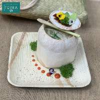 Square Food Plate 25 - Areca Palm Leaf plate