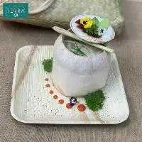 Square Food Plate 25 - Areca Palm Leaf plate