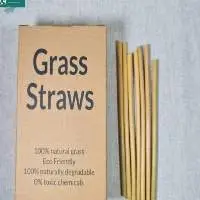 Grass Straws (Lepiroia 34)