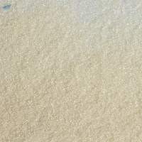 Unrefined Cane Sugar - Golden Caster