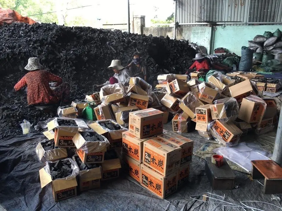 Coffee Charcoal