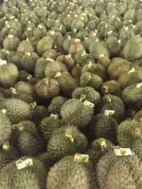 Fresh Fruit