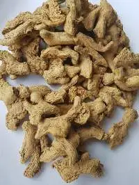Ginger