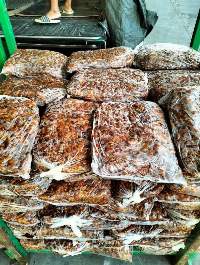 Tamarind