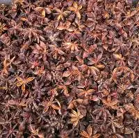Spices