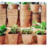 Coco Pot