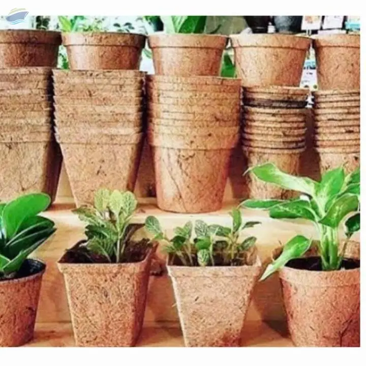 Coco Pot