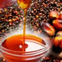 Red Palm Oil ( Refined )