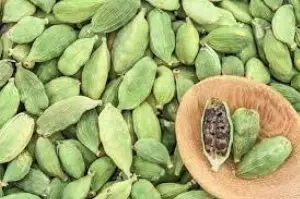 Cardamom