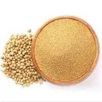 Coriander Powder