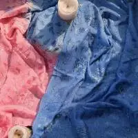 Ombre Dyed Embroidered Stole