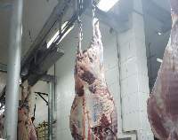 Donkey Meats
