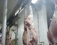 Donkey Meats