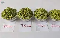 Green Cardamom