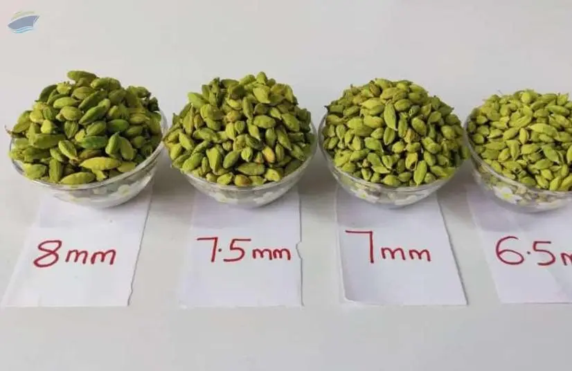 Green Cardamom