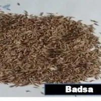 Cumin Seeds