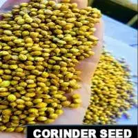 Coriander Seeds And Corinder Powder