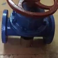 Globe Valve