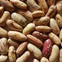 Beans