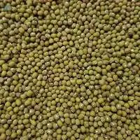 Moong
