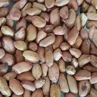 Peanut