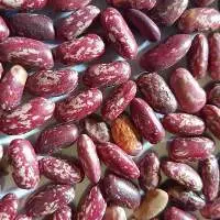 Red Beans