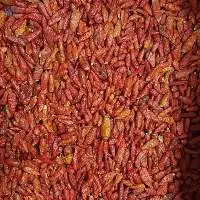 Whole Red Chilli