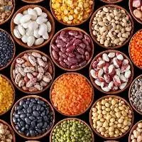 Spices