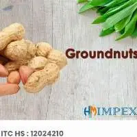 Groundnuts