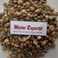 Robusta Green Beans
