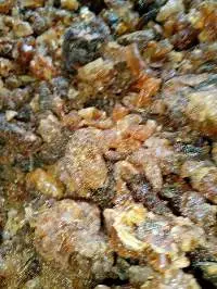 Gum Myrrh Malamal-wajir Orijin