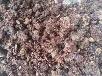 Gum Myrrh Grade 1- Somalia Origin