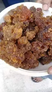Gum Myrrh Mur Makki Very Cleaned