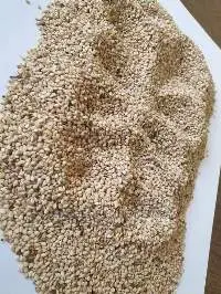 White Sesame Seeds Well Machine Cleaned