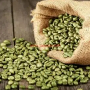 Arabica Coffee Bean