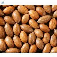 Premium Pecans