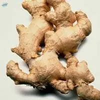 Ginger (Fresh Or Dried)