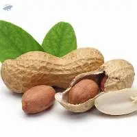 Peanuts