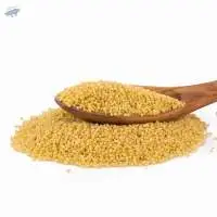 Sorghum Seeds