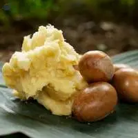 Shea Butter
