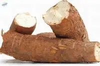 Cassava (Dried or Wet)